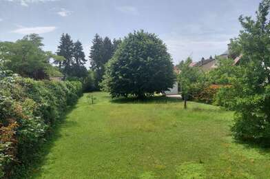 Terrain  215000 €