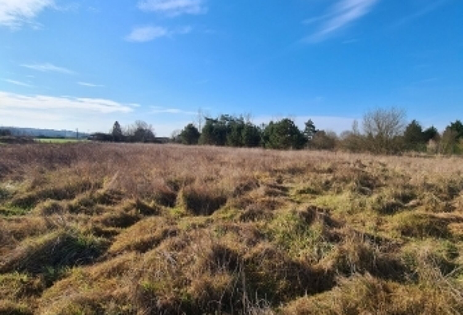 Vente Terrain 3 590 m&sup2; — photo 1
