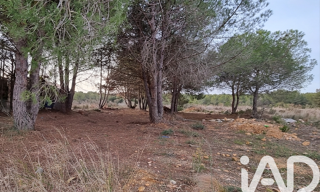 Terrain  700 m² à vendre à Sérignan (34410)