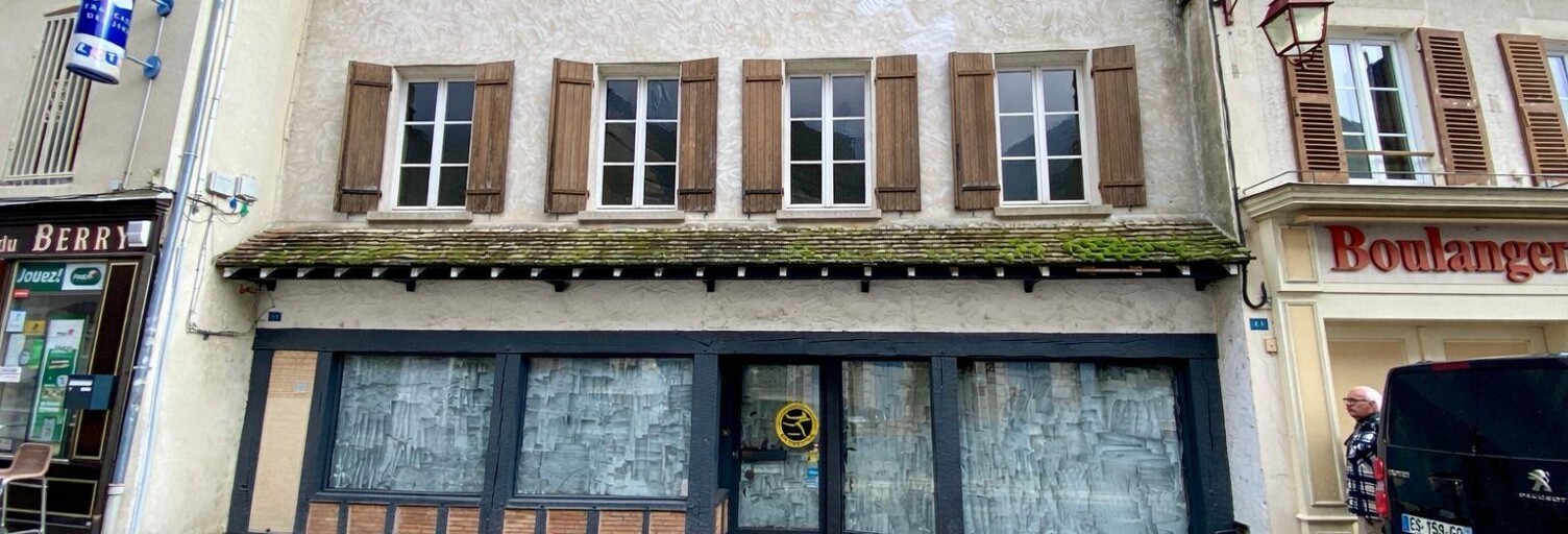 Commerce  195 m² à vendre à Château-Renard (45220)
