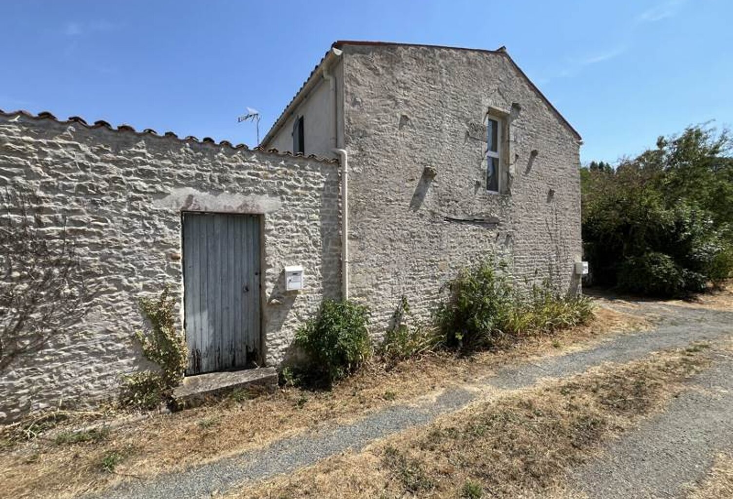 Traditionnelle de 0 pièces principales — photo 1