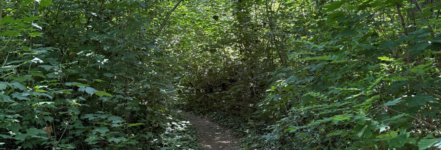 Terrain  118638 m² à vendre à Saint-Benoît (86280)