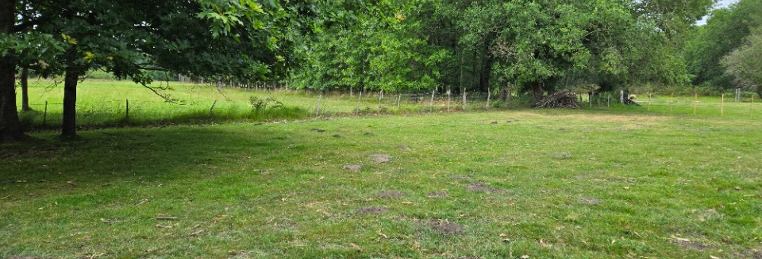 Terrain  1500 m² à vendre à Saint-Savin (33920)