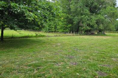 Terrain  55000 €