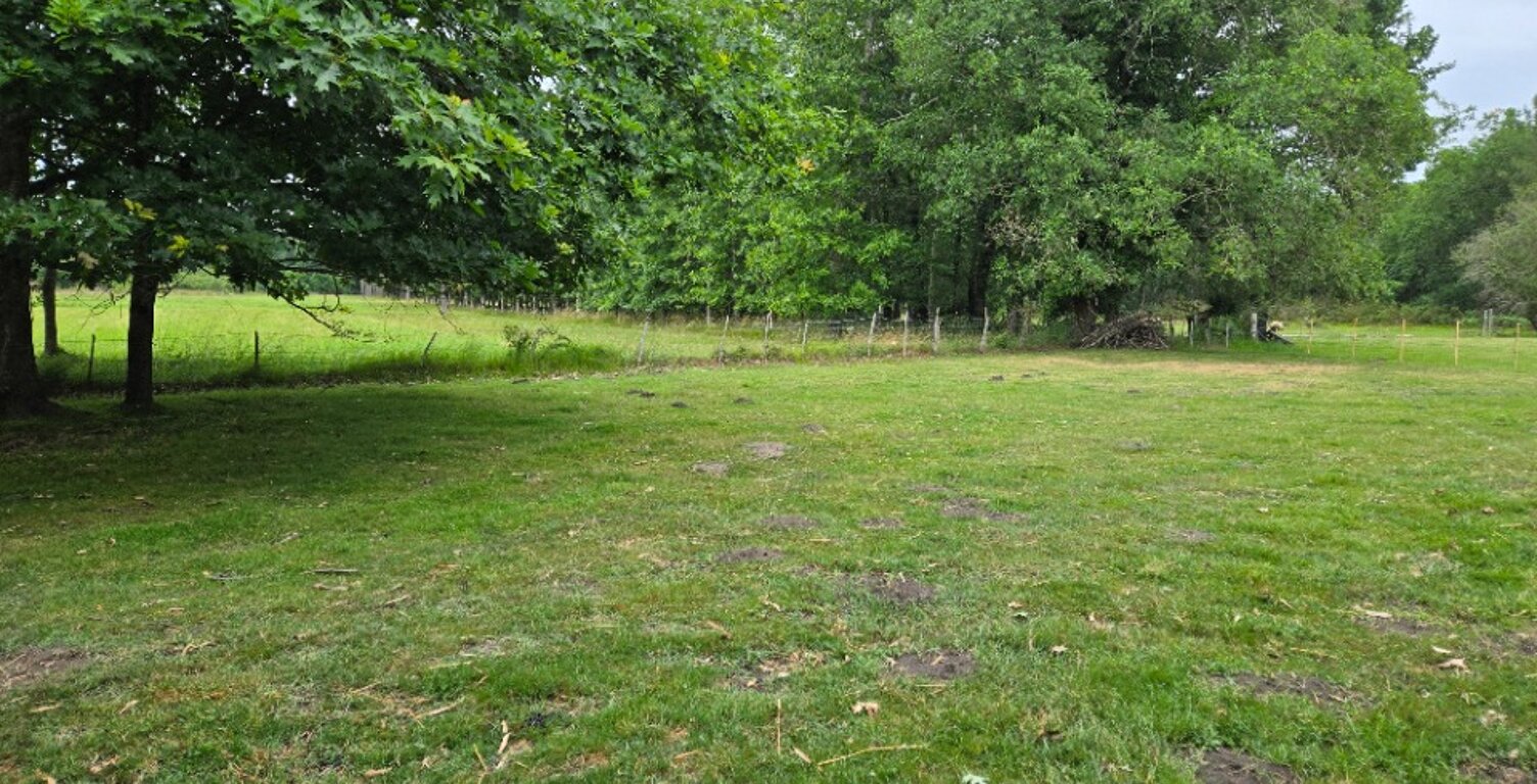 Terrain à bâtir à Saint-Savin (33920) — photo 1