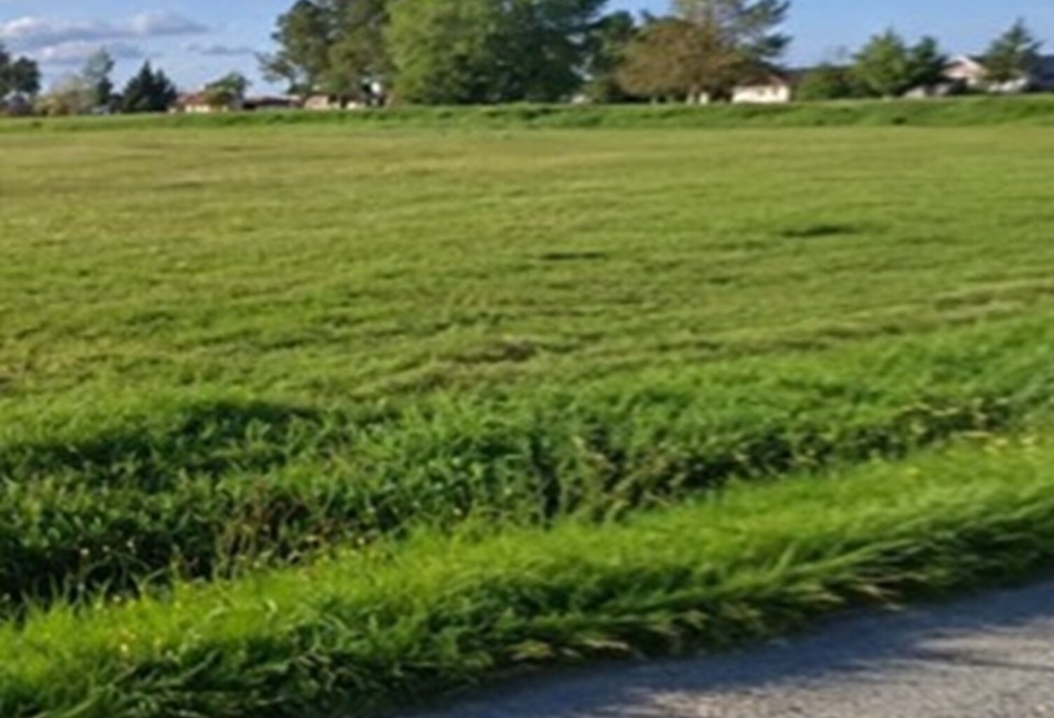 Terrain à bâtir à La Lande-de-Fronsac (33240) — photo 1