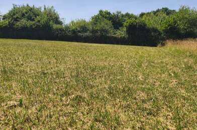 Terrain  109000 €