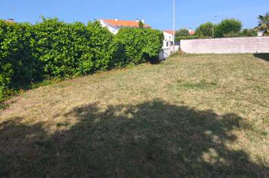 Terrain  195500 €