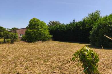 Terrain  99000 €