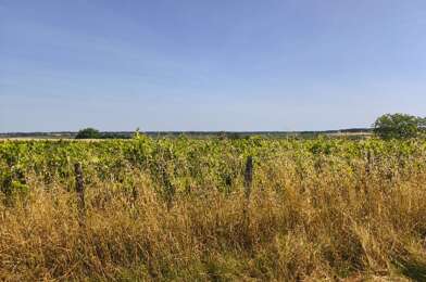 Terrain  115000 €