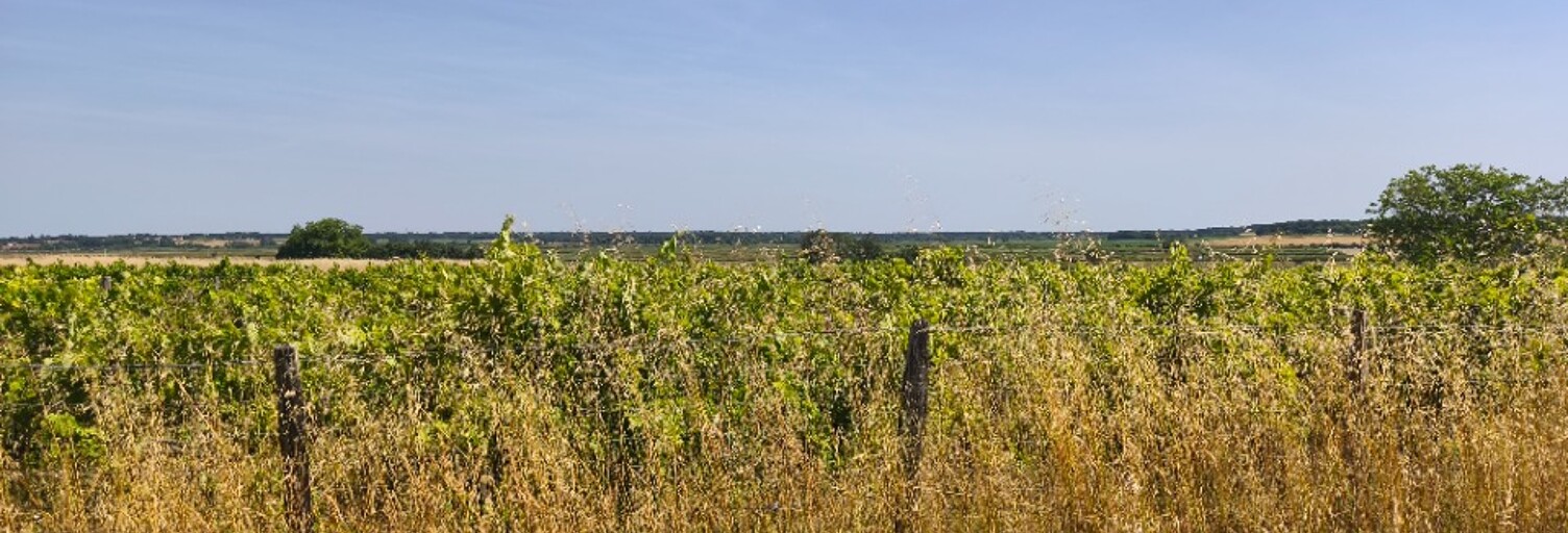 Terrain  628 m² à vendre à Saint-Augustin (17570)