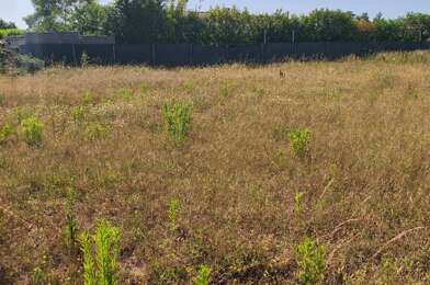 Terrain  95000 €
