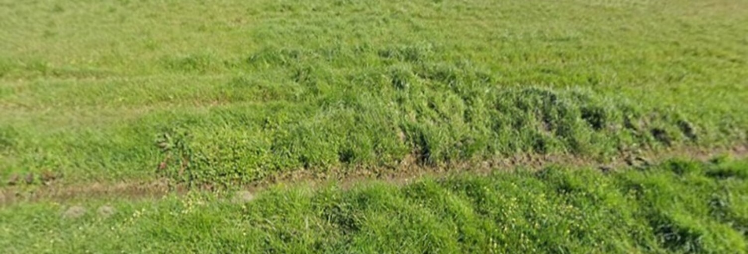Terrain  1460 m² à vendre à Saint-Savin (33920)