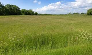 Terrain  1320 m² à vendre à Saint-Savin (33920)