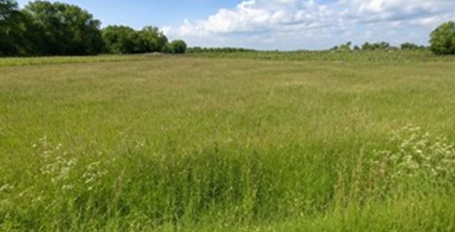 Terrain à bâtir à Saint-Savin (33920) — photo 1