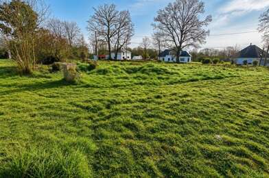 Terrain  49000 €