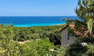 Maison 7 Pièces 199 m² à vendre à Corbara (20256)