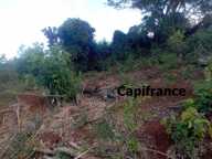 Terrain à bâtir - 500 m² à vendre - Kangani Commune de KOUNGOU (976) — photo 3
