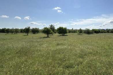 Terrain  140000 €