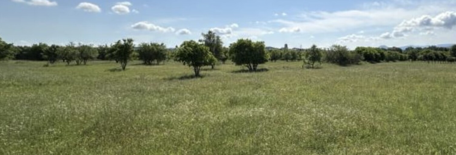 Terrain 1900 m² à construire Camps-la-Source (83170)