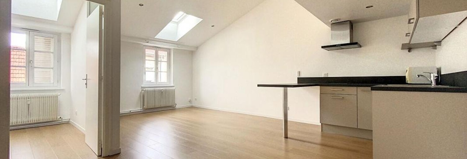 Appartement 2 Pièces 40 m² à louer à Nancy (54000)