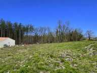 A vendre, maison de plain-pied construction 2026 à Trélissac 24750 — photo 4