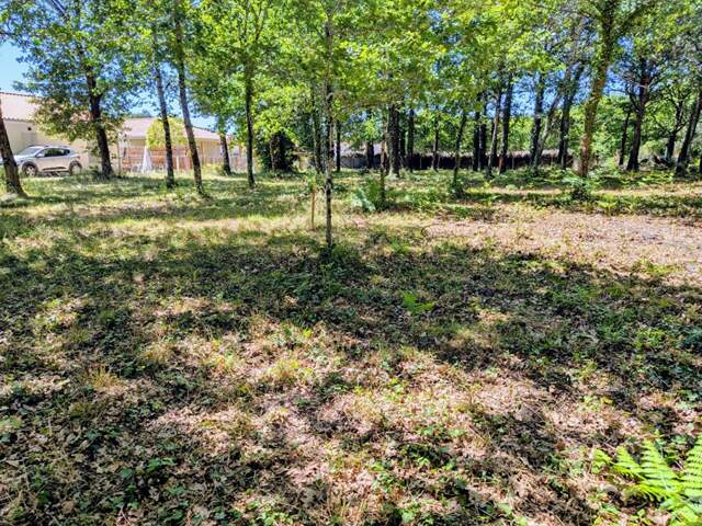 Terrain Belin Beliet 578 m2 — photo du bien