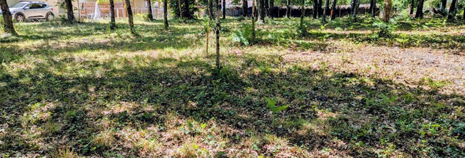 Terrain  578 m² à vendre à Belin-Béliet (33830)
