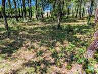 Terrain Belin Beliet 578 m2 — photo 2