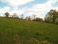 Terrain 1594m² Fleurance (32500)  parcelle — photo 4