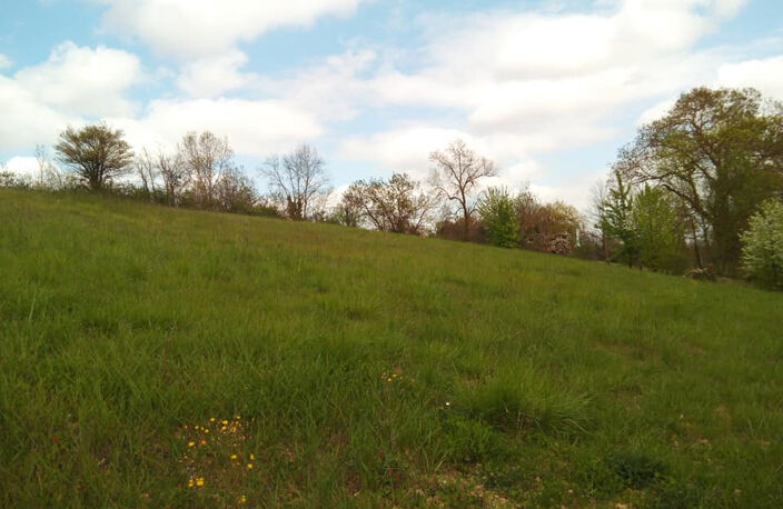 Terrain 1594m² Fleurance (32500)  parcelle — photo 4