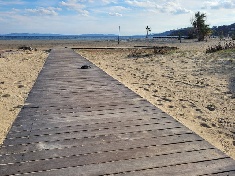 Murs commerciaux BORMES les MIMOSAS proche plage — photo 1