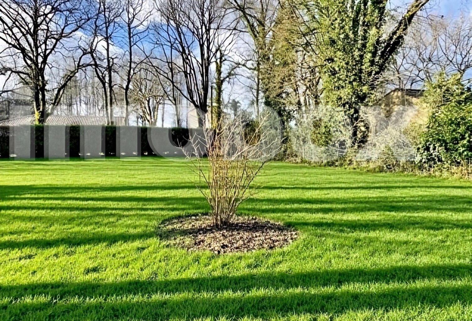 terrain — photo 1