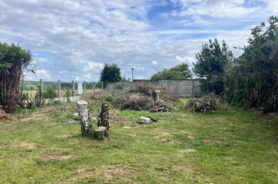 Terrain  89500 €