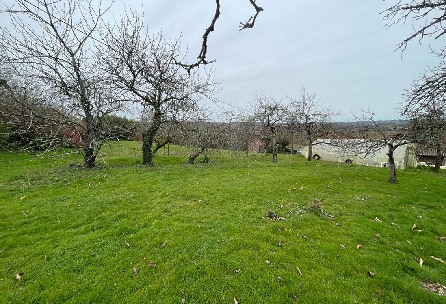 Terrain — photo 1