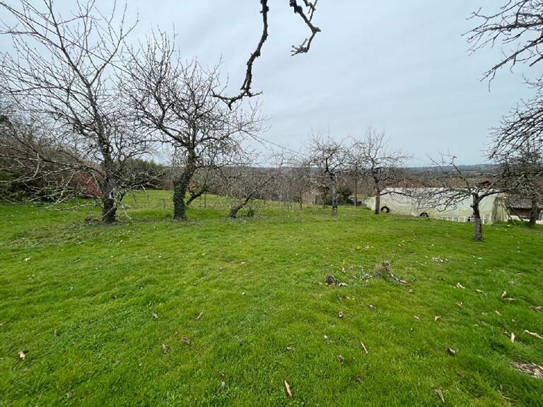 Terrain — photo 1