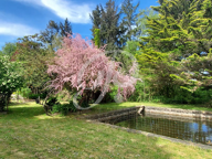 Grande Maison avec 13500m2 de terrain — photo 4