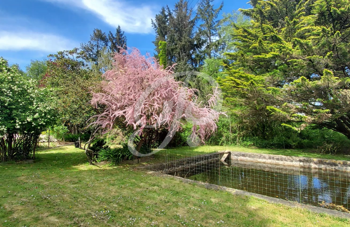 Grande Maison avec 13500m2 de terrain — photo 4
