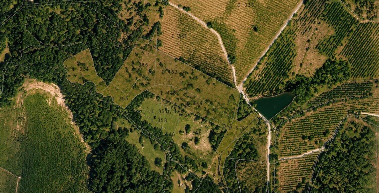 Propriété agricole et forestière — photo 1