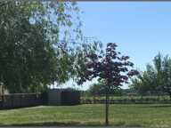 PAVILLON DE PLAIN-PIED AU CUR DES VIGNES DE SAINT-ÉMILION — photo 2