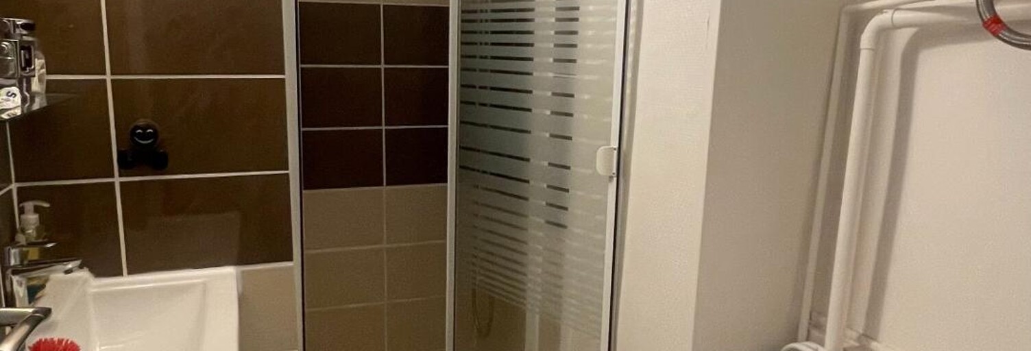 Appartement 1 Pièce 17 m² à vendre à Orléans (45000)