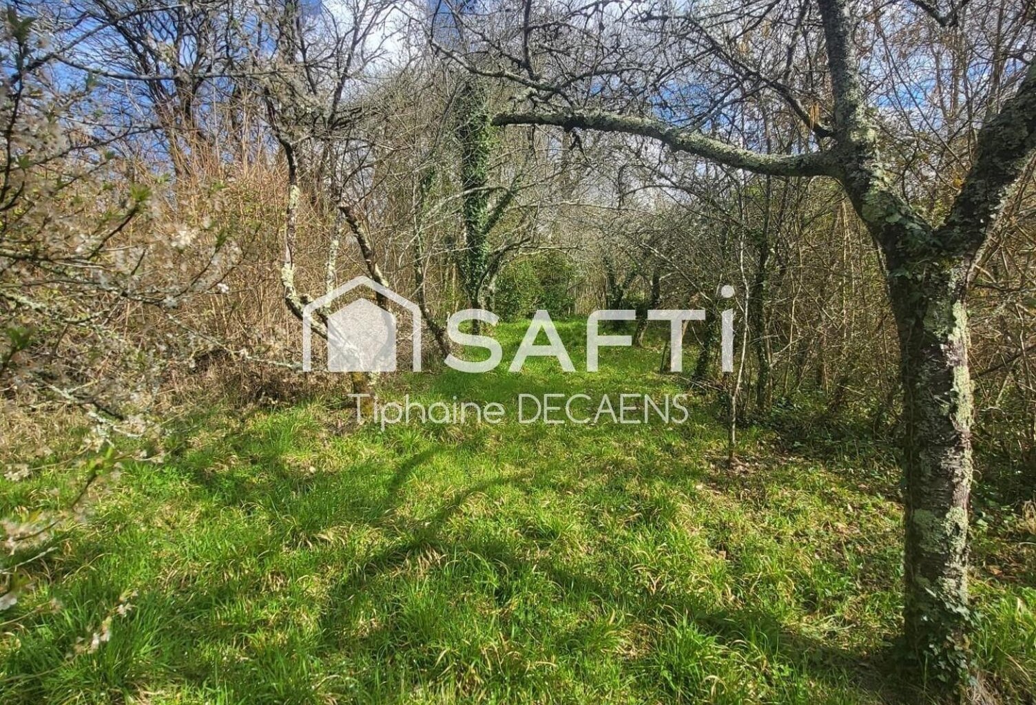 Terrain constructible de 1800m2 avec cave troglodyte — photo 1