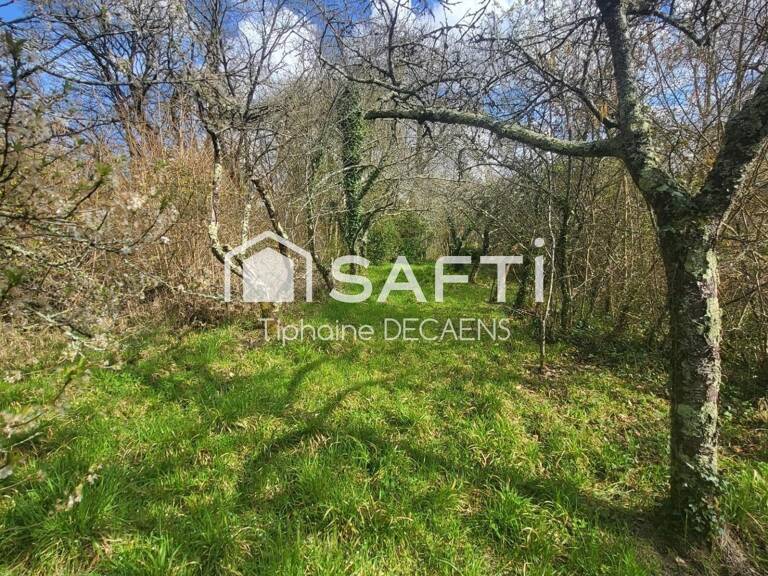 Terrain constructible de 1800m2 avec cave troglodyte — photo 1