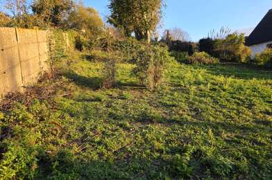 Terrain  55000 €