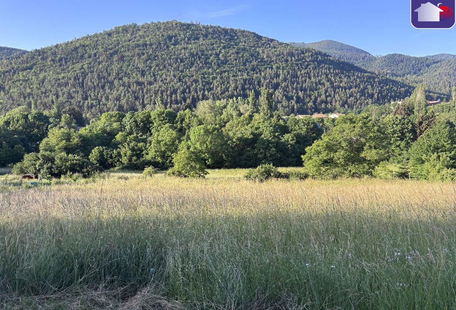 Vente terrain  2780 m² Belcaire (11340) — photo 1