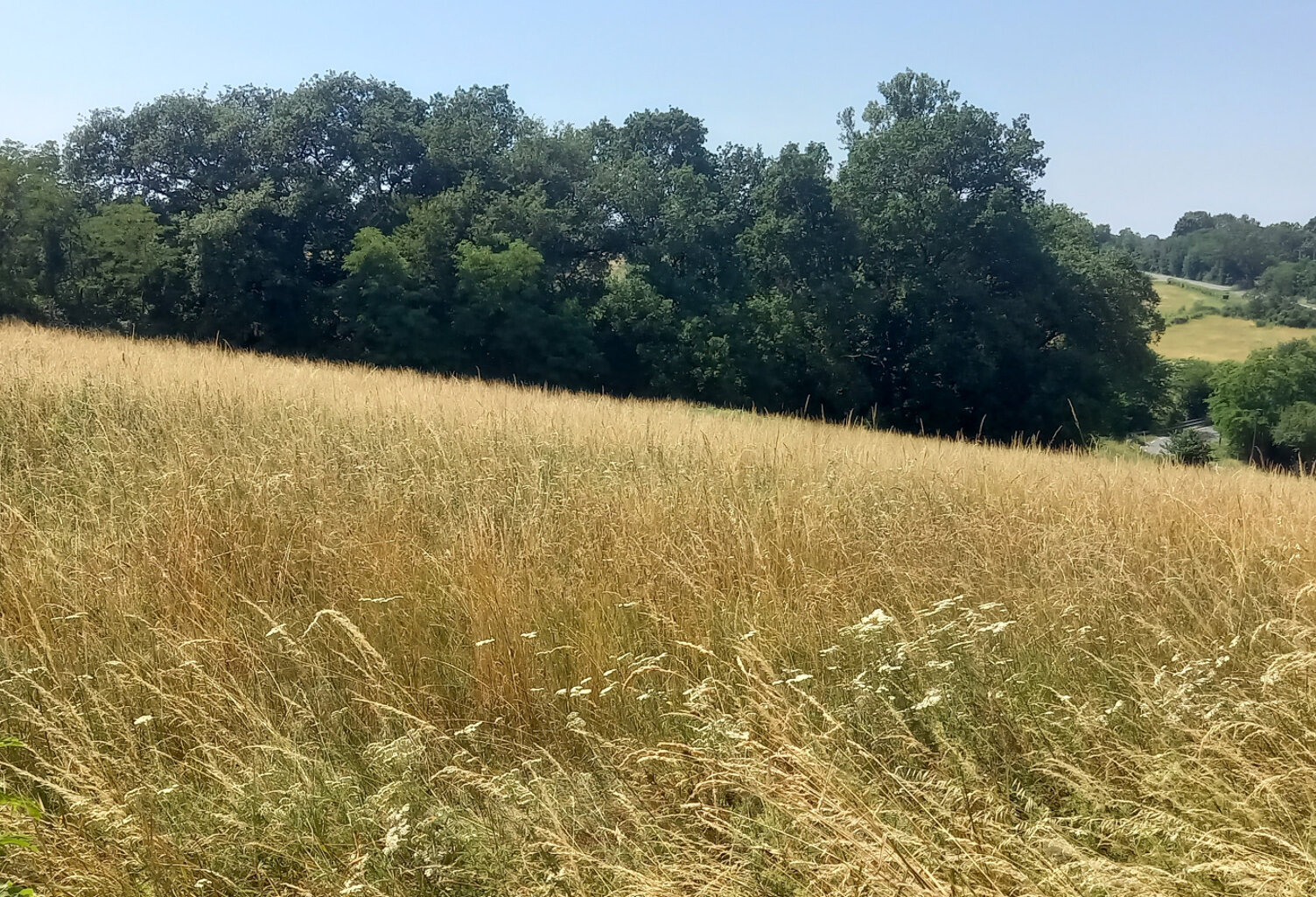 Beau terrain de 1500m2 — photo 1