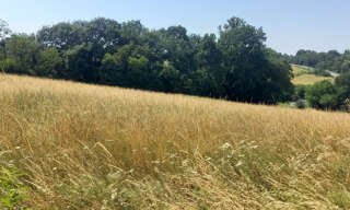Terrain  1500 m² à vendre à Rieumes (31370)