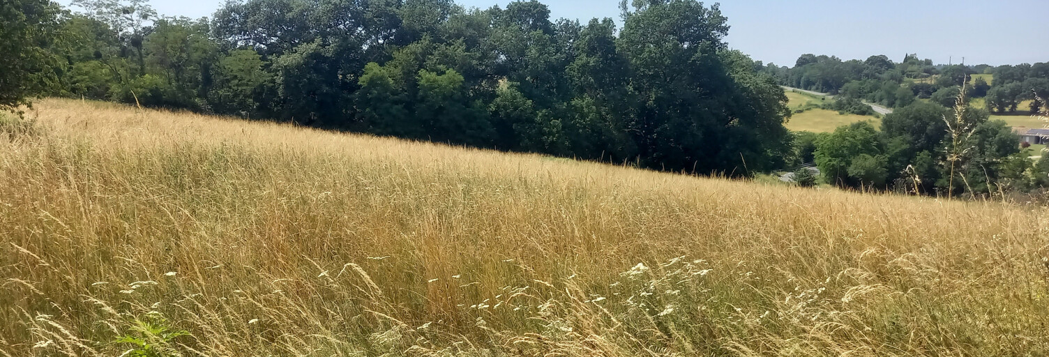 Terrain  1500 m² à vendre à Rieumes (31370)