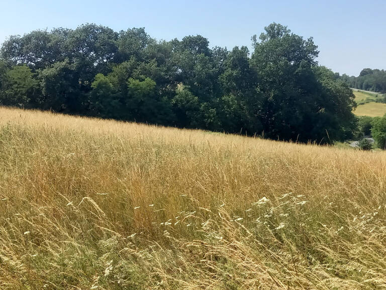 Beau terrain de 1500m2 — photo 1