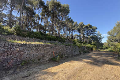 Terrain  420000 €